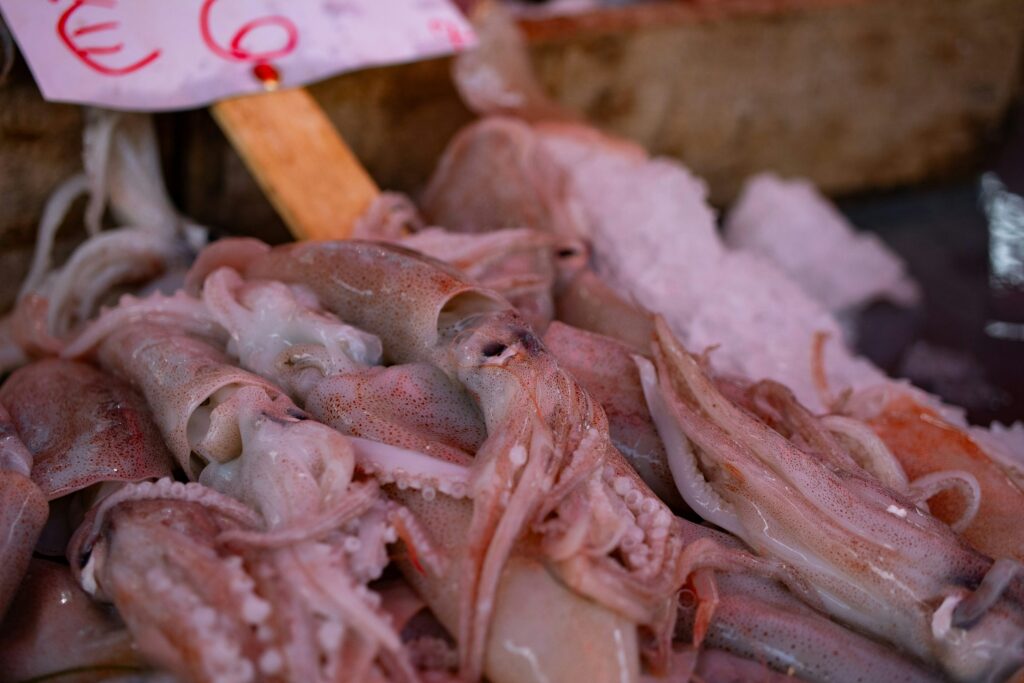 Cuttlefish a seafood product from CV Anugerah Bahari Mandiri