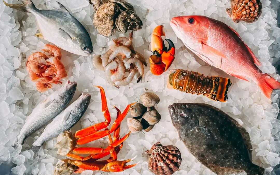 Indonesian Fresh & Frozen Seafood Products: Complete Export Guide