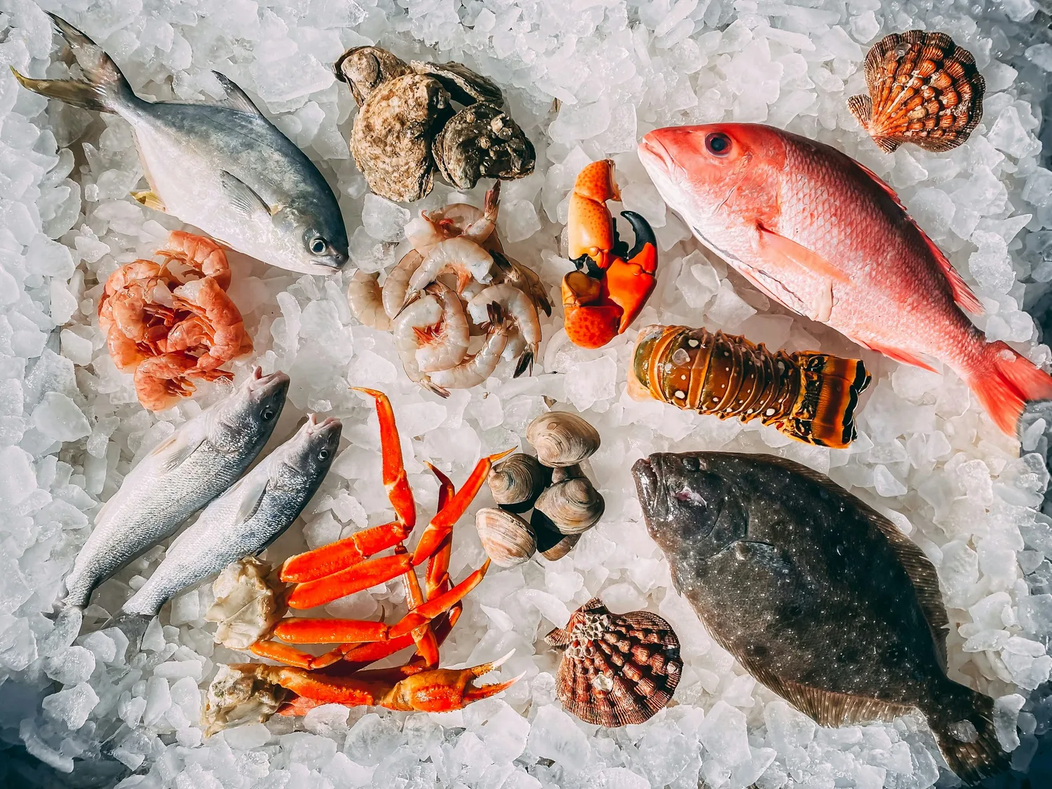 Frozen Seafood product