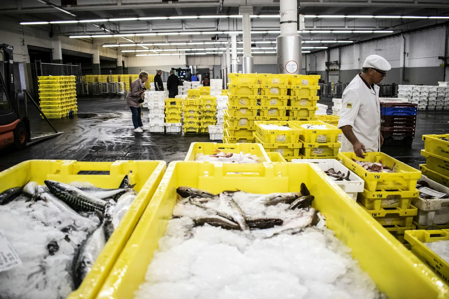 Seafood supplier company in Indonesia
