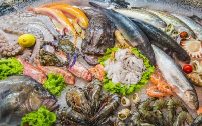 What Documents Are Required for Seafood Export Products? Indonesia’s Complete Export Checklist for 2026