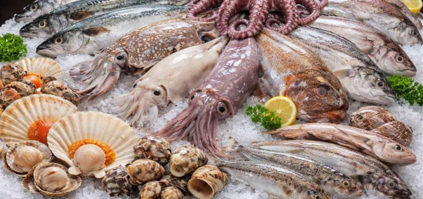 seafood export product