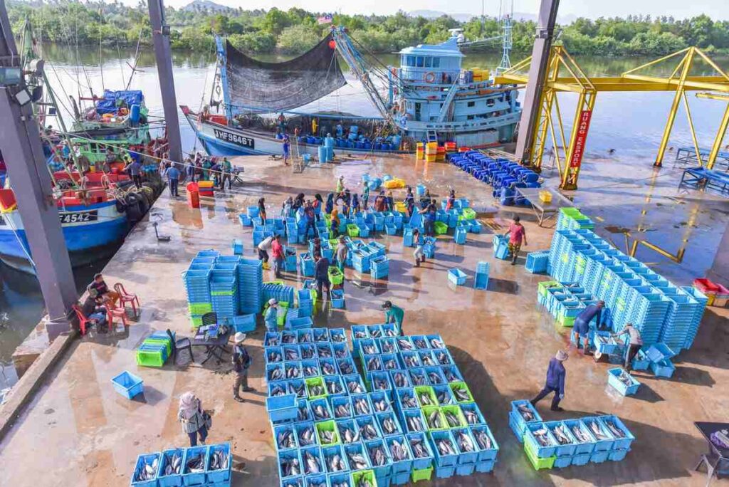 Seafood supplier in Indonesia