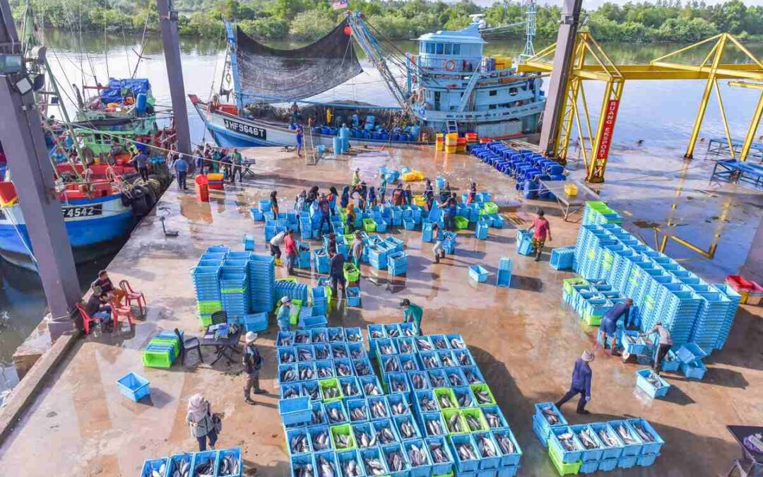 Which Country Is the Best Seafood Supplier Partner for 2026?