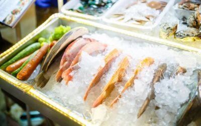 How a Frozen Seafood Exporter Keeps the Pacific Cold Chain Unbroken