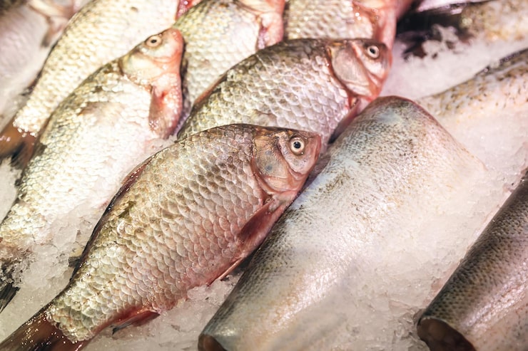 frozen seafood ready to send to US & Mexico 