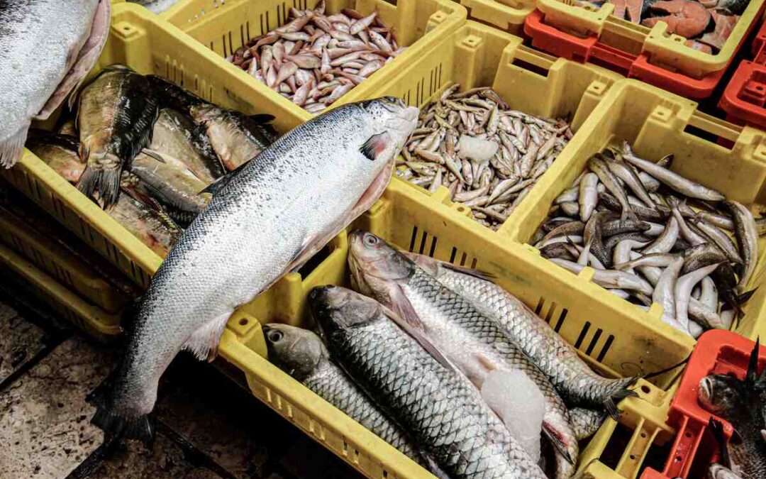 Seafood Supplier in Indonesia: 20 Questions US & Mexico Buyers Ask Before They Sign a Contract