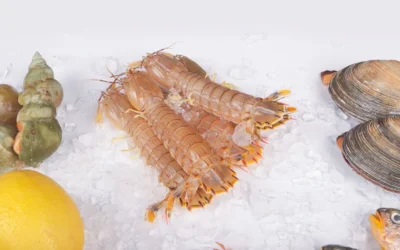 Seafood Quality Control in Indonesia: What International Buyers Should Expect