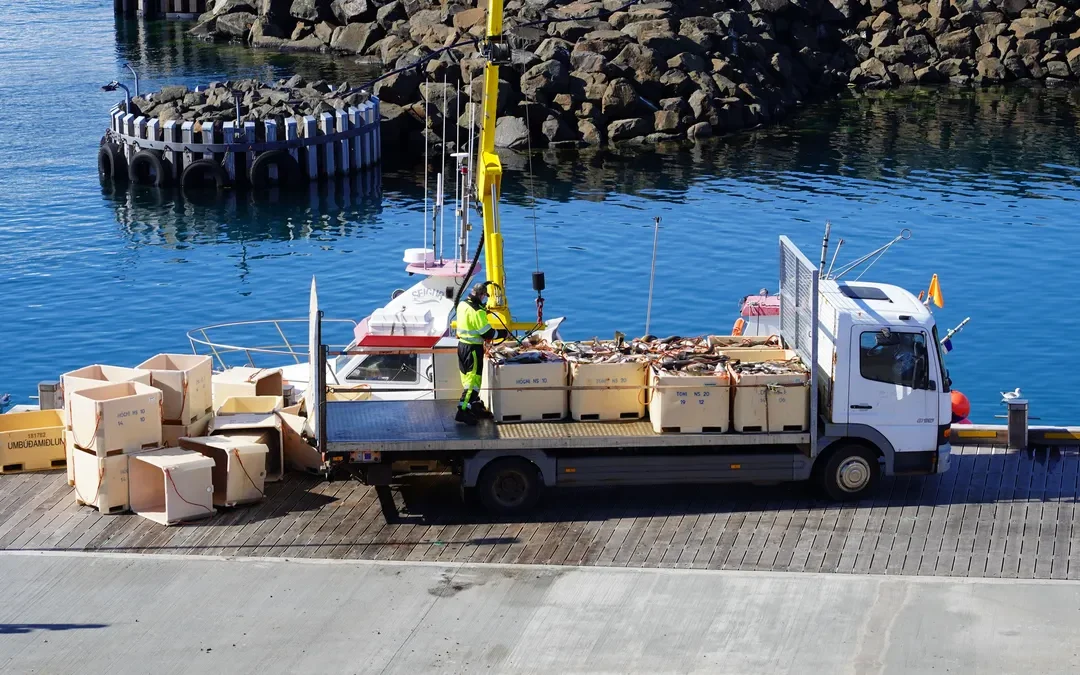 How to Build a Reliable Seafood Supply Chain Between Indonesia and International Markets