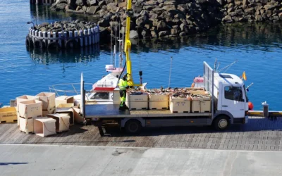 How to Build a Reliable Seafood Supply Chain Between Indonesia and International Markets