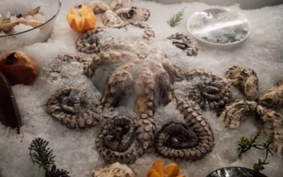 Types of Frozen Octopus: Whole, Cleaned, Ball Type, or Yucatan – Which Cut Wins?