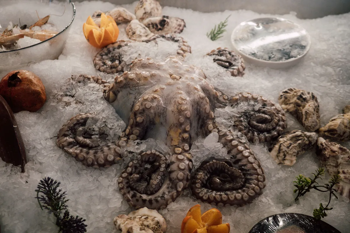 Frozen octopus CV Anugerah bahari Mandiri Product
